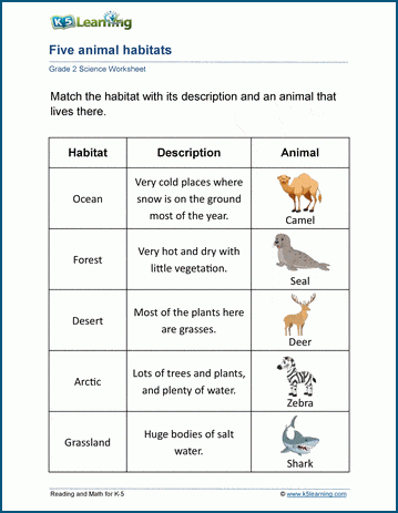 Sample Grade 2 Animals Worksheet