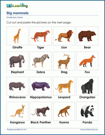 Animal words & vocabulary cards worksheet